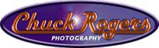 logo designer