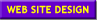 custom web site design